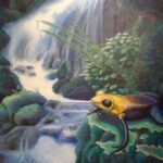 The waterfall and the frog